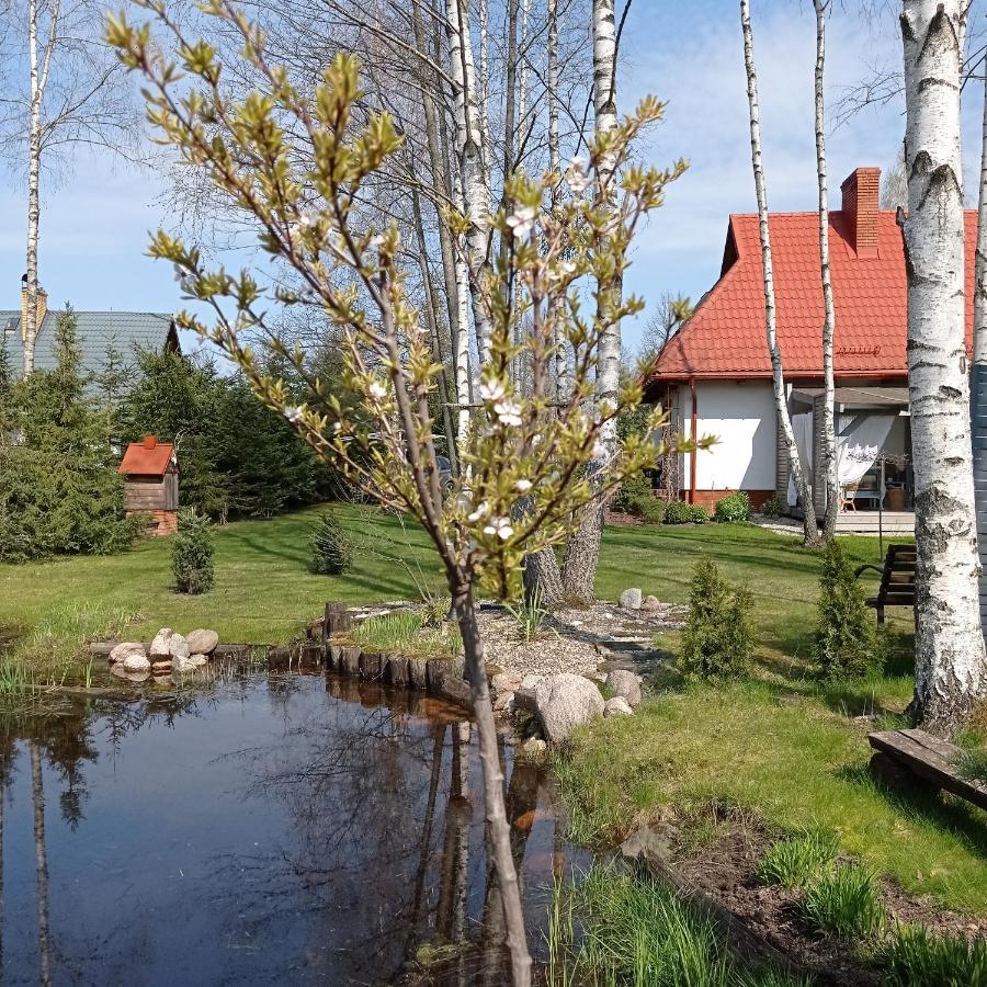 Siedlisko Gruszki Puszcza Bialowieska Narewka Bagian luar foto